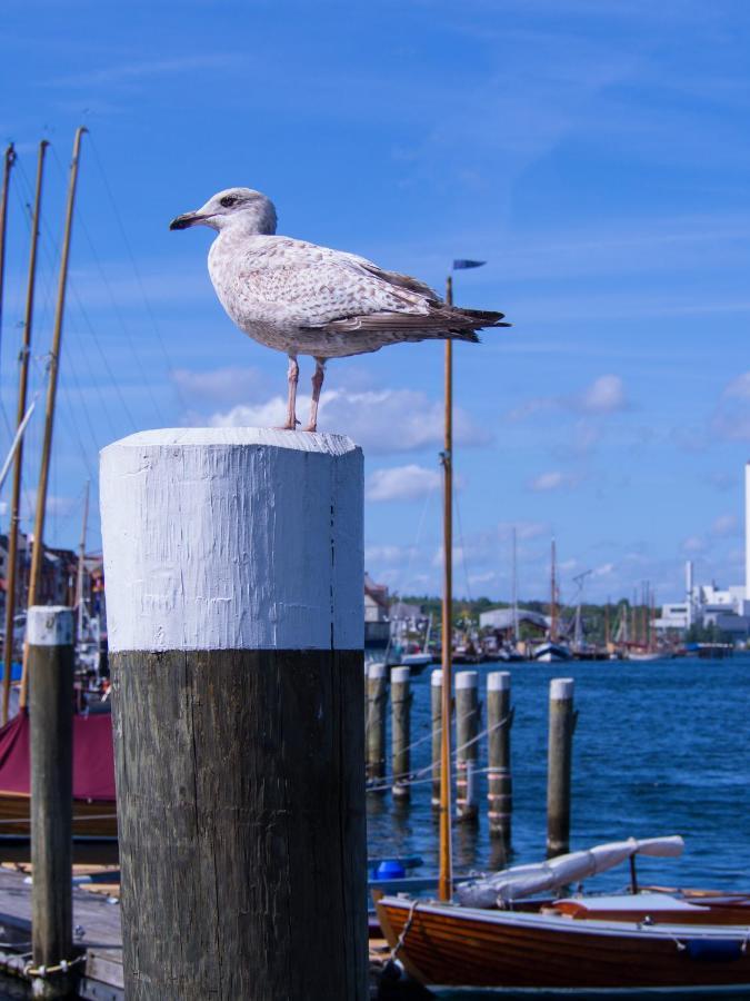 Fewo Muschel Glücksburg Exteriér fotografie